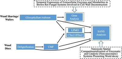 Nanostructural Analysis of Enzymatic and Non-enzymatic Brown Rot Fungal Deconstruction of the Lignocellulose Cell Wall†